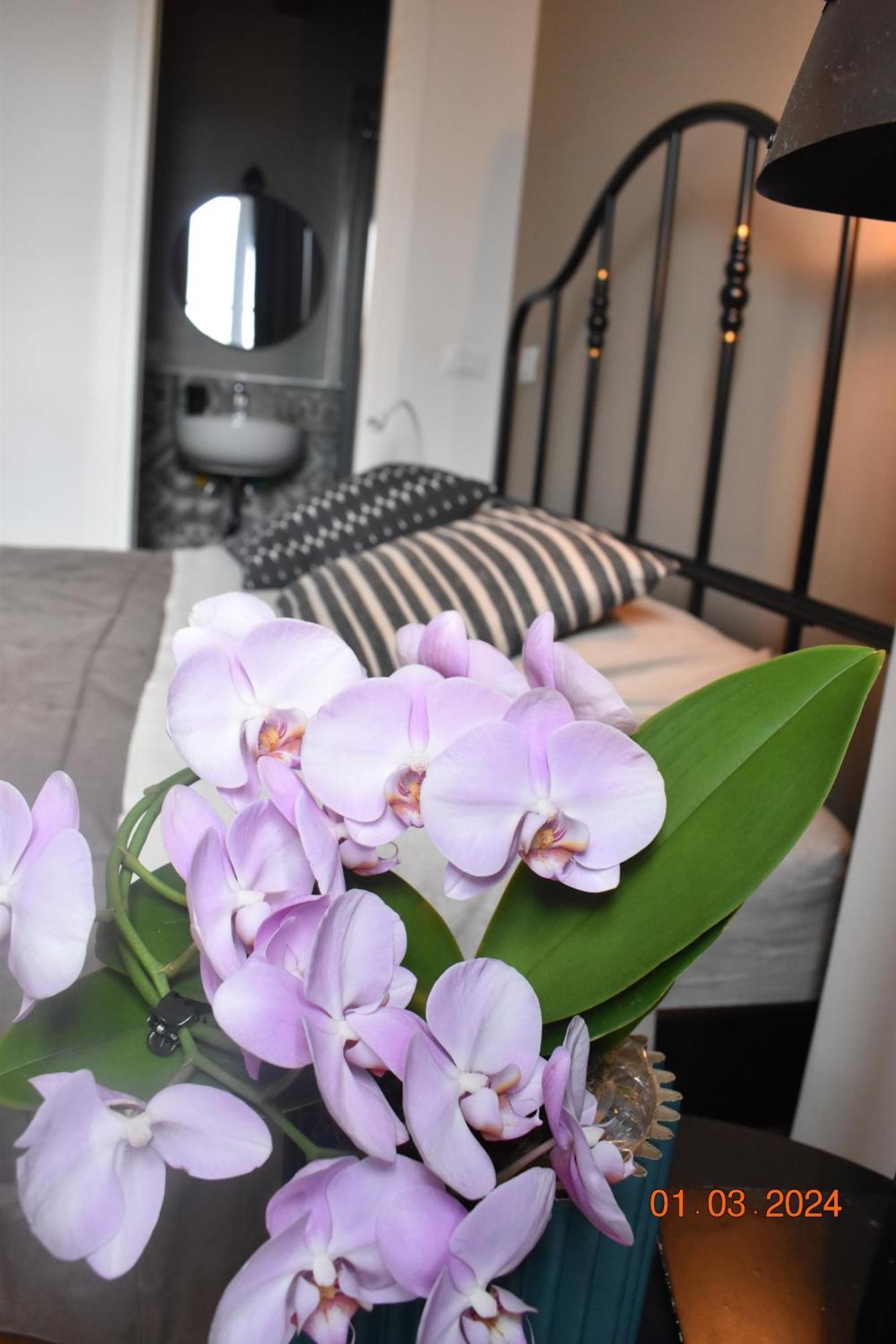 Trastevere St Ariabianca House Apartamento *